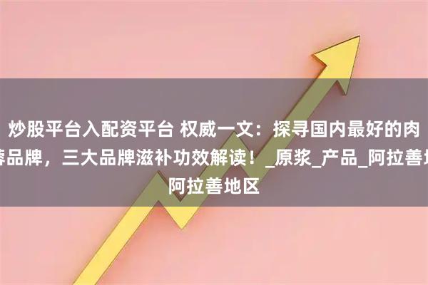 炒股平台入配资平台 权威一文：探寻国内最好的肉苁蓉品牌，三大品牌滋补功效解读！_原浆_产品_阿拉善地区