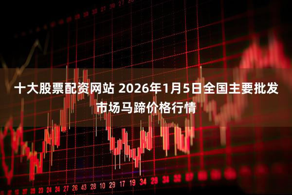 十大股票配资网站 2026年1月5日全国主要批发市场马蹄价格行情