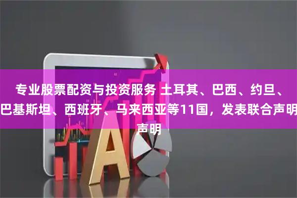 专业股票配资与投资服务 土耳其、巴西、约旦、巴基斯坦、西班牙、马来西亚等11国，发表联合声明
